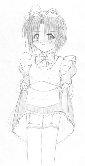 ���[���̃��C�h���B