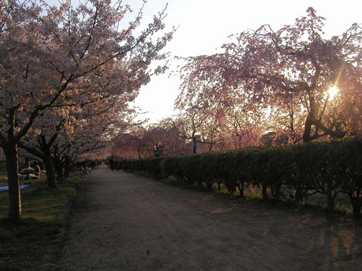 ���R�s�Ύ��̉͐�~�ɂāB