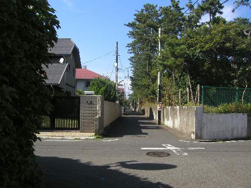 �C�݉����ɂ��ՐÂȏZ��X���L����B