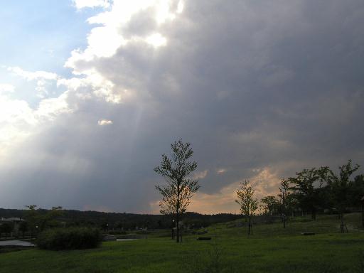 �[���̗\���B