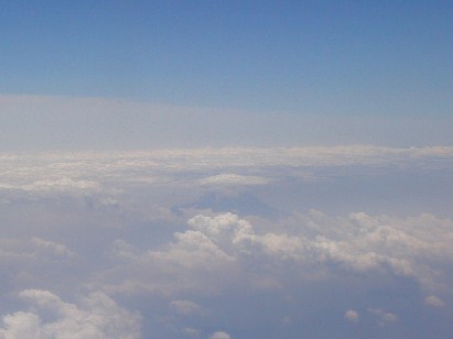 �_�C�̒�����˂��o���x�m�R