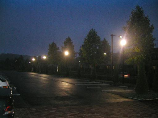 �X���̌����G�ꂽ�H�ʂɉf�肱�ށB