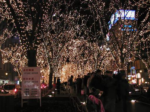 ��ʂ��т��S�Ă���Ȋ����ɁB