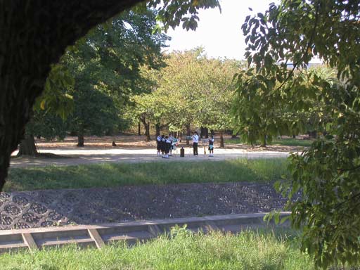 �Ύ��̂قƂ�ɂāB