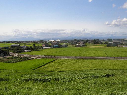 ���̏���A�������蔲����B