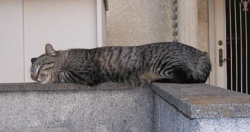 ���ɍK�������ȐQ��ŁB