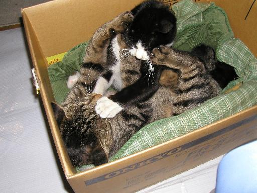 ���ݐ퓬���B���Ԑl�͑ޔ�����B