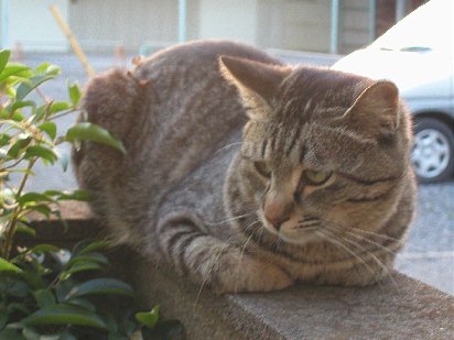 �j�͖ڐ��őS�Ă����ׂ��B