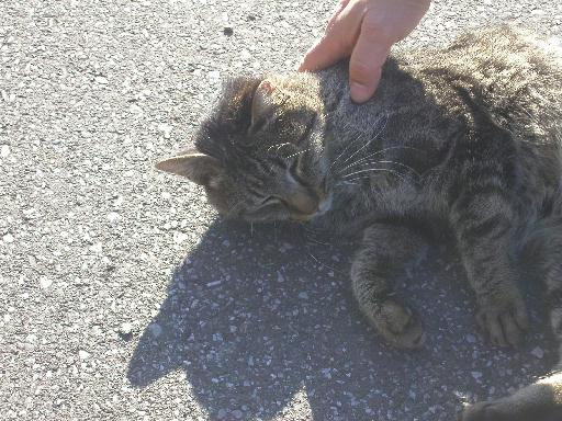 �̂ǂȂłā`��B