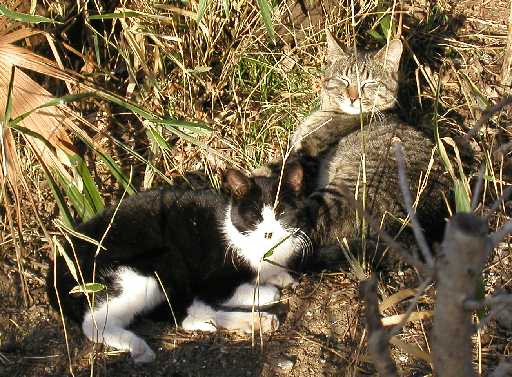 �ʂ��ʂ��ł��B