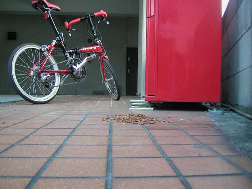 �F�X�v���Ƃ��낪���������i�B