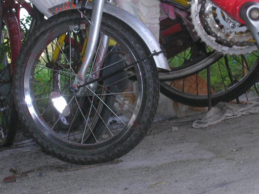 �ӂƖڂ��������B