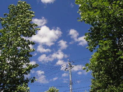 ���̐F�́A���������[�������B