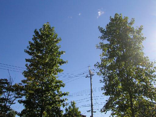 ����H�̓��̒��A�����Ɠ����ꏊ�ŁB