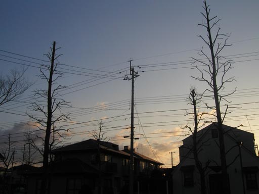 ���t�̑����Ɍ����A�Ō��Deep Blue�B