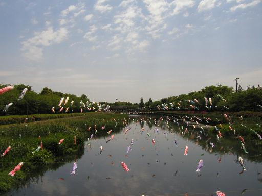 ���ʂ̌������ɁA������̋�