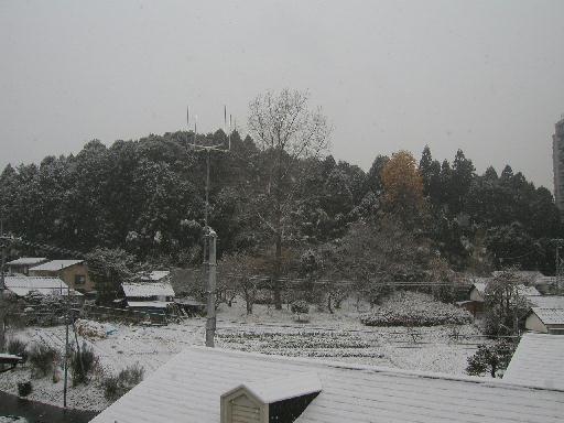 ���̔��͔������܂��Ă����B