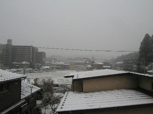 �����̕��́A��������Ō����Ȃ������B