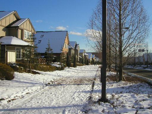 �Y��ȊX���݂̂����ŁA�O���ɖ������񂾂悤�ȍ��o���B