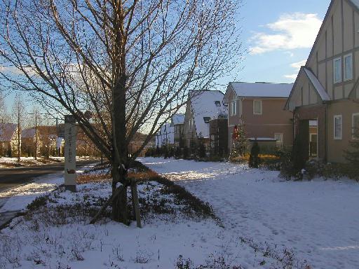 ���Ԃ���������A�����Ƃ������ƎU�􂵂��������X���݁B