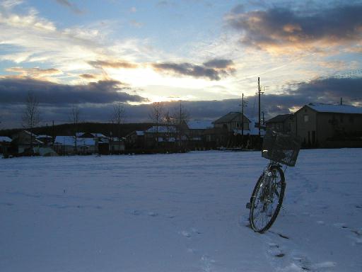 ���̎��Q�⑫�Ղ��A�I�����W�F�Ɍ����Č������B