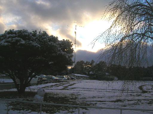 �ߏ��̎q���B�̍�i���낤���B