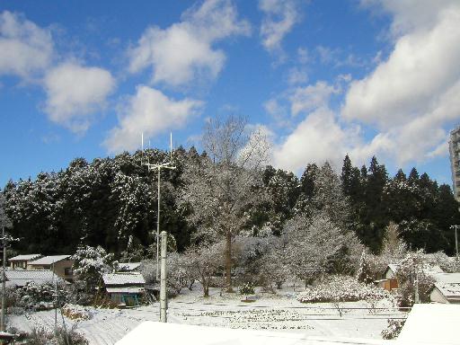 ���h���̔_�ƁB