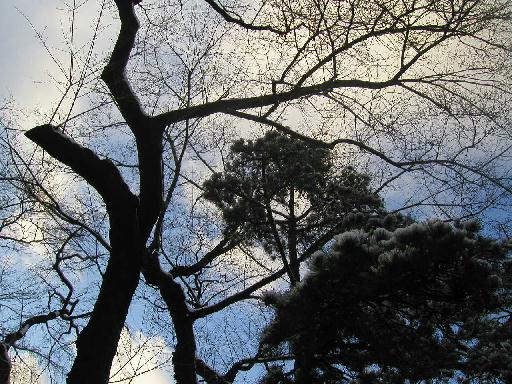 �������ς������؁X�̊Ԃ���A�󂪔`���Ă����B