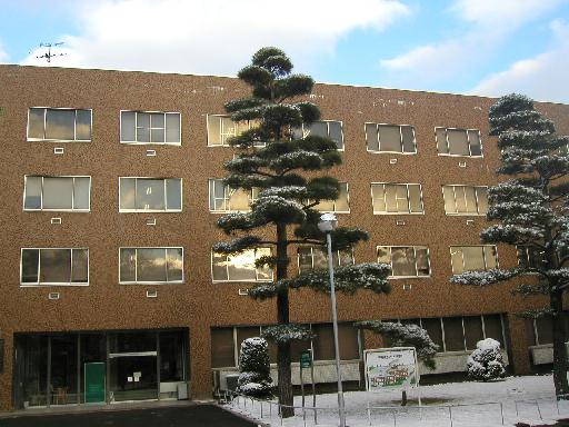 �������̃K���X�ɁA�[�Ă����f�荞�ށB