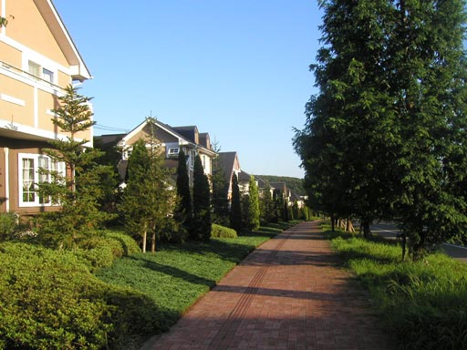 ���R�����ɑ����ʂ�B