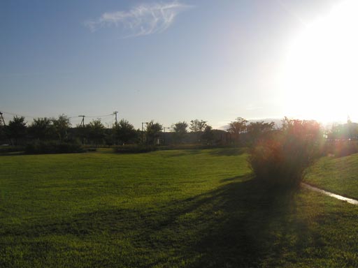 �ł̗΂��t���ɓ�����l�q���B�肽���Ȃ����B