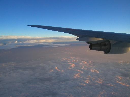 �[���ɏƂ炳�ꂽ�_�C�́A�I�����W�F�ɋP���Ă����B