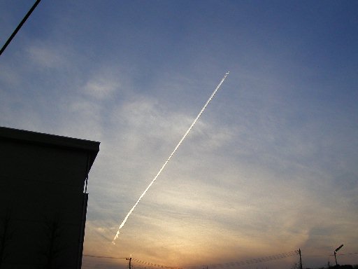 ��s�@�_���A�P���Č������B