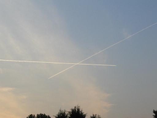 ��u�̏o��Ɨ��ʁc�H