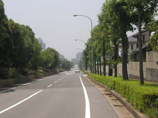 �_�˂ɗ��邽�тɑ�T���Ă��܂����_�B�ǂ��炩�Ƃ����Ɩ��΂ɋ߂��B�����܂ő������Ƃ������`�[�t�ɂȂ����S���䂩��ĎB�����ꖇ�B