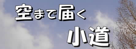 �����ł���